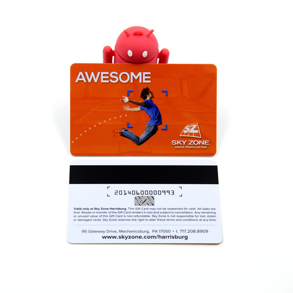 Custom Full Color Printed Loyalty Cards